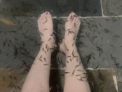 -兴芮温泉度假区