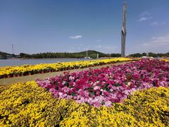 -上海月湖雕塑公园