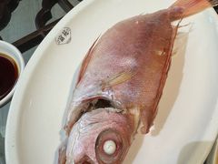 -吴记富苑(朝阳店)