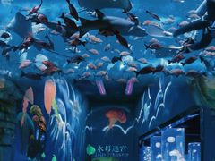 -西安曲江海洋极地公园