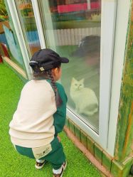 -萌宠亲子动物乐园(槐房万达店)