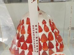 -维尔纳斯·生日蛋糕·动物奶油冰淇淋蛋糕(六里桥店)