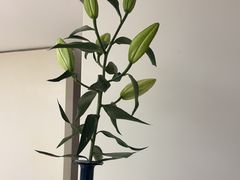 -卡罗酒店(东门晒布地铁站店)