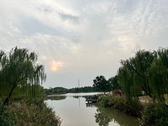-九科绿洲