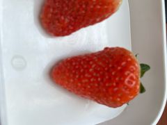 -北苑汤泉