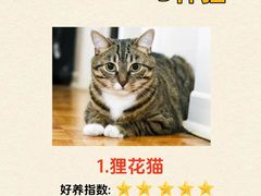 -宠颐生斯嘉宠物医院·急重症·心内科(谷阳北路分院)