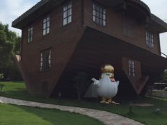 -金山农民画村-枫泾波兰倒置屋