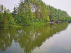 -溱湖国家湿地公园