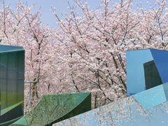 -龙美术馆(西岸馆)