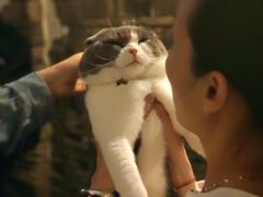 -锦记糕点铺