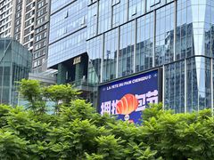 -合景·悠方(成都店)