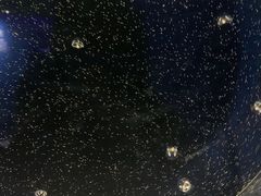 -青岛海底世界-水族馆