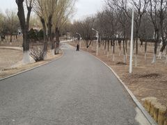 -青龙湖公园