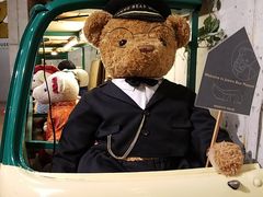 -济州岛泰迪熊博物馆