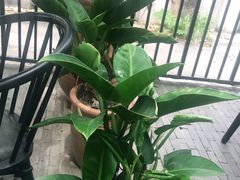 -湘邻呷铺·田园家宴(汉基广场店)