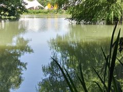 -梁鸿国家湿地公园