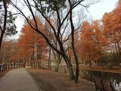 -共青国家森林公园-南大门停车场