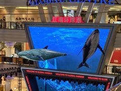 -江南环球港
