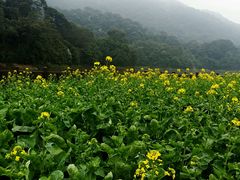 android_upload_pic-广州市石门国家森林公园