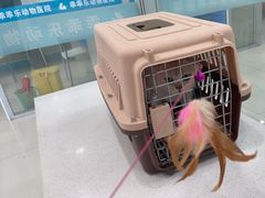 -乖乖乐动物医院(小汤山分院)