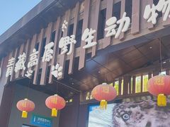 -青藏高原野生动物园