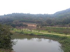 -南国桃园旅游度假区