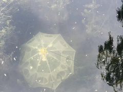 -后海公园
