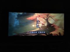 -武商摩尔影城(国广IMAX激光店)
