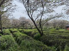 -凤凰沟景区