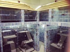 -1013 PET SHOP 宠物商店(近铁城市广场店)