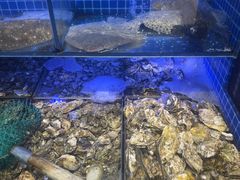 -院里汤包·虾汤包青岛菜(辽源路店)