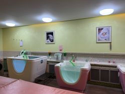 -生命加•Q考拉月子会所(玫瑰园店)