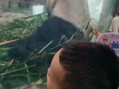 -成都动物园