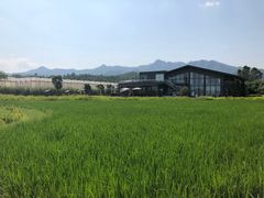 -禾悦庄餐厅