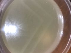 -粤拭轩·广东味道(祥和里店)