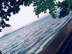-卷心菜和避孕套餐厅(Pattaya)