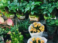 -三旗百汇商品城