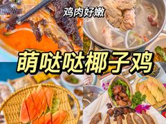 -椰梦长廊