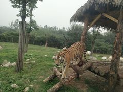 -西安秦岭野生动物园