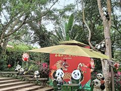 -海南热带野生动植物园