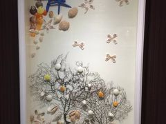 -青岛贝壳博物馆