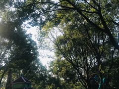 -温州乐园