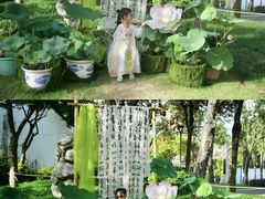 -厦门园林博览苑