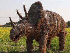 -嘉北郊野公园