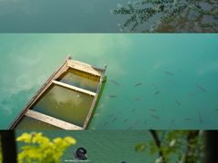 -广州白江湖森林公园