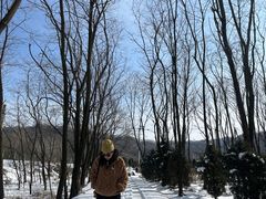 -秦岭风景区