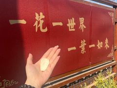 -护国法轮寺
