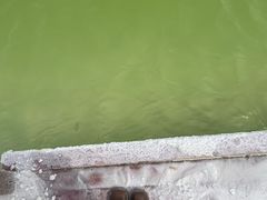 -盐湖景区