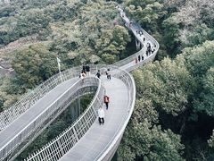 -福道