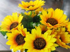 -RiceZone乐食尊纯米面包坊(望京店)